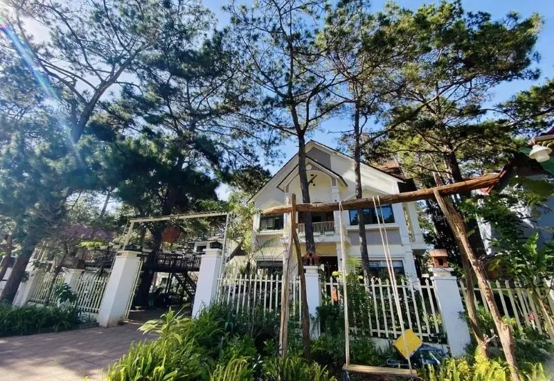 Homestay Mang Den view rung thong